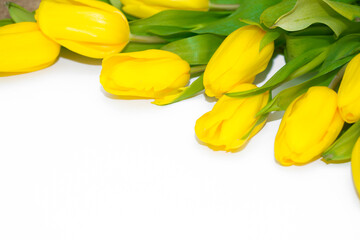 Obraz premium Flowers are beautifully laid out. Set of tulips on a white background. Postcard for March 8, mother's day and any holiday.