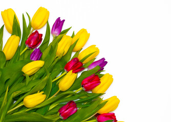 Flowers are beautifully laid out. Set of tulips on a white background. Postcard for March 8, mother's day and any holiday.