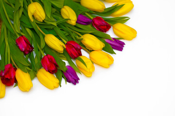 Obraz premium Flowers are beautifully laid out. Set of tulips on a white background. Postcard for March 8, mother's day and any holiday.