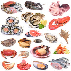 Fresh seafood on white background