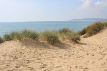 Camber sands East Sussex UK - view of Camber Sand dunes with sky and sea dunes held together with...