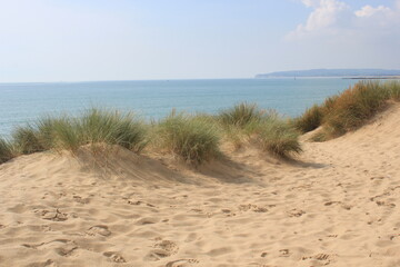 Camber sands East Sussex UK - view of Camber Sand dunes with sky and sea dunes held together with grasses stopping sand blowing away