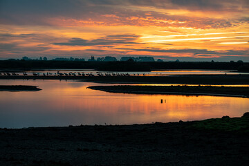 Morning sunlight reflecting off Water in Frampton Marsh, Lincolnshire, England