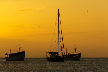 Boats at sea, backlit, at sunset time