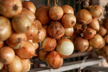 trenza de cebollas guindando en una verdulería para que las compren los clientes