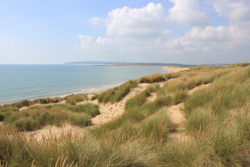 Fototapeta na wymiar Camber sands East Sussex UK - view of Camber Sand dunes with sky and sea dunes held together with grasses stopping sand blowing away