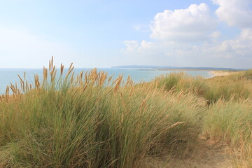 Camber sands East Sussex UK - view of Camber Sand dunes with sky and sea dunes held together with grasses stopping sand blowing away