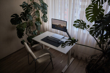 Work place at home. Minimalism style and modern interior inside with plants.