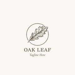 Oak Leaf Abstract Vector Sign, Symbol or Logo Template. Hand Drawn Autumn Oak Leaf Sketch Illustration in a Circle Frame with Retro Typography. Isolated