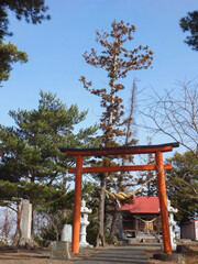 japanese garden gate