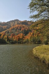 Artvin Borçka Karagöl in autumn