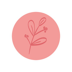 leaves nature botanical