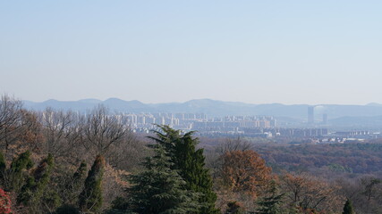 The beautiful autumn view with the colorful leaves in the forest