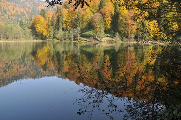 Fototapeta na wymiar Artvin Borçka Karagöl in autumn