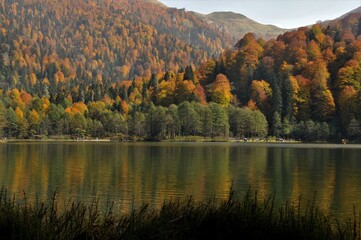 Artvin Borçka Karagöl in autumn