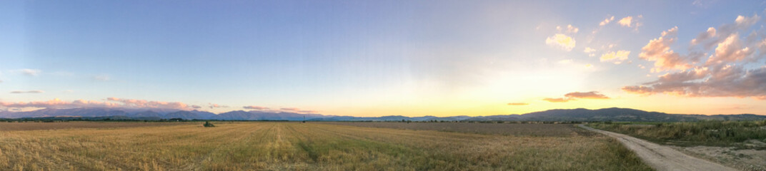 Panorama sunset over the field
