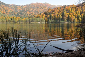 Artvin Borçka Karagöl in autumn