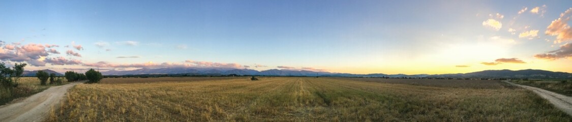 Panorama sunset over the field