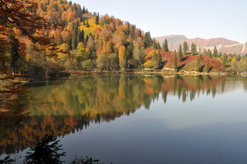 Artvin Borçka Karagöl in autumn