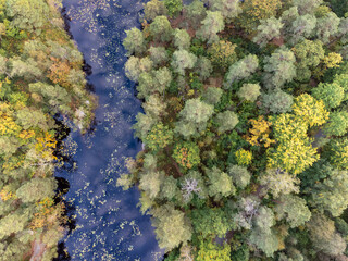 Drone nature photography taken from above in Sweden in fall time. Bird's eye view of a lake with trees in autumn colors. Dark water surface background, copy space and place for text.