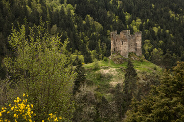 Ch&acirc;teau fort en ruine situ&eacute; sur une colline au milieu de la for&ecirc;t en France