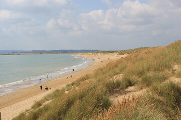 Camber sands East Sussex UK - view of Camber Sand dunes with sky and sea dunes held together with...