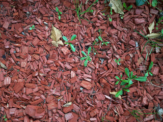 Getrocknete Holzschnitzel Textur