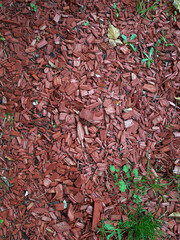 Getrocknete Holzschnitzel Textur