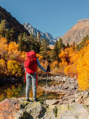 Fototapeta premium Woman with backpack in the autumnal mountains. Mountain with bright autumnal forest and hiker traveller