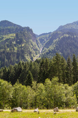 Fototapeta na wymiar Stubaital in Tyrol