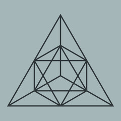 A simple geometric 3d effect line art symbol of a hexagon shape  with a star at the center inside a triangle in black outline color on a grey background, vector illustration