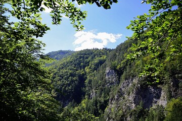Fototapeta na wymiar rocky hill and valley in a tourist destination in central europe. Prosiecka valley,Liptov,Slovakia
