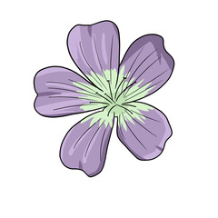 Purple flower