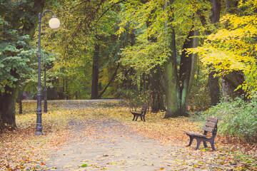 Vintage photo, Autumnal park in october, Footpath with bench for relaxation