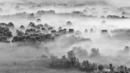Misty morning in the mountains (black and white landscape)
