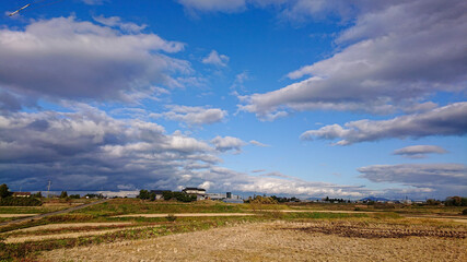 秋の田園風景