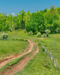 Dirt Road in Rural Nova Scotia  - A dirt road in the Annapolis Valley area of rural Nova Scotia on a beautiful day in late spring.