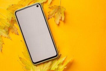 phone mockup with yellow leaves. fall season, sale