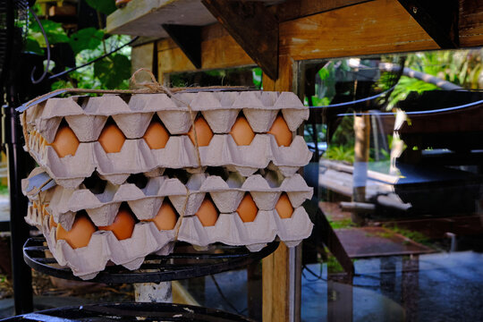 Proceeds from selling organic eggs in cardboard boxes to prevent broken eggs from delivery. A simple and peaceful way of life in agriculture in the countryside.