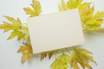 card invitation mockup with yellow leaves. fall season, sale