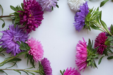 background with colorful fresh asters bouquet.