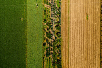 Scenic landscape with aerial view of fields