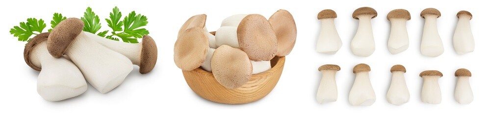 Fototapeta premium King Oyster mushroom or Eringi isolated on white background . Set or collection