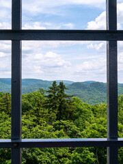 view from a fire tower