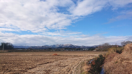 Fototapeta premium landscape with trees