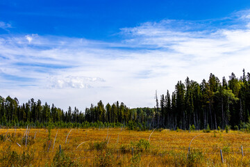 A drive around Clearwater County Alberta Canada