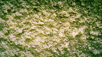 texture background of classic concrete wall