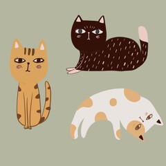 set of funny cats