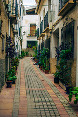 Fototapeta na wymiar Un bonito rincón de Letur con sus plantas de calle