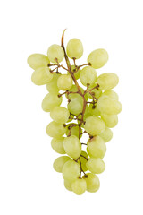 Isolate is a bunch of grapes on a white background.